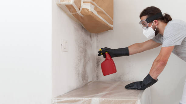 Attic Mold Remediation treatment on roof deck in Queenstown